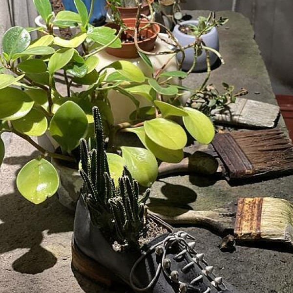 自由之丘CCIP & CAFE