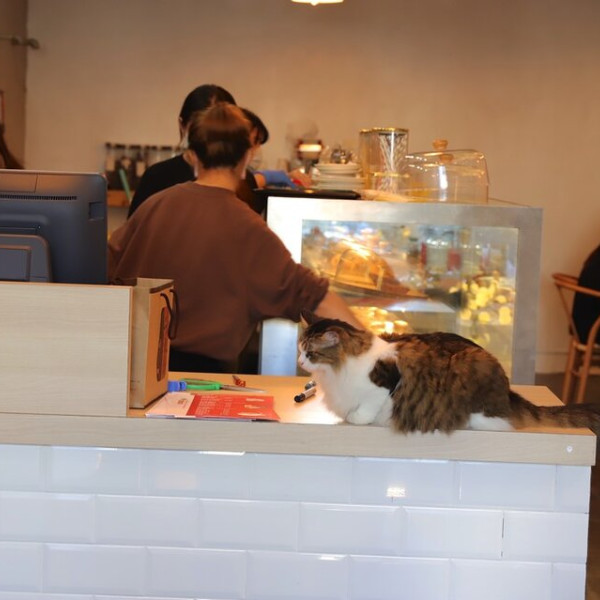 花食間 手作HUA SHIH JIAN