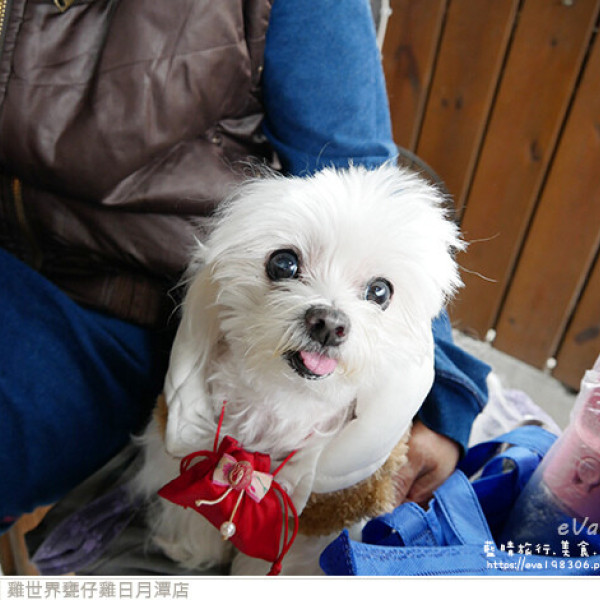 雞世界甕仔雞 日月潭店