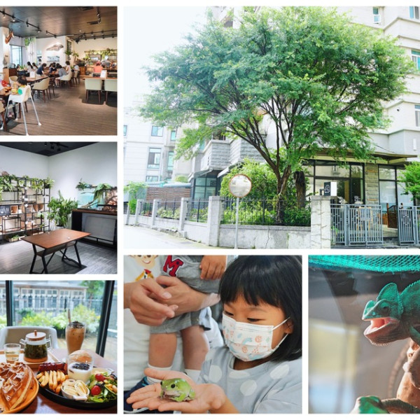 微迷野林竹北店