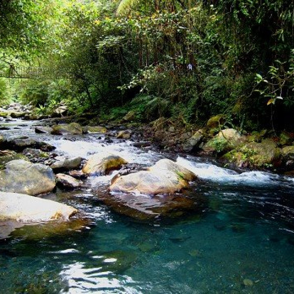 九寮溪生態園區
