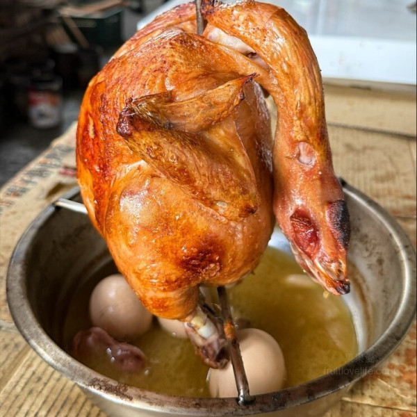 雞婆放山土雞桶子雞