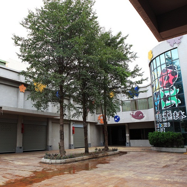 采虹森林(彰化縣民宿017號)