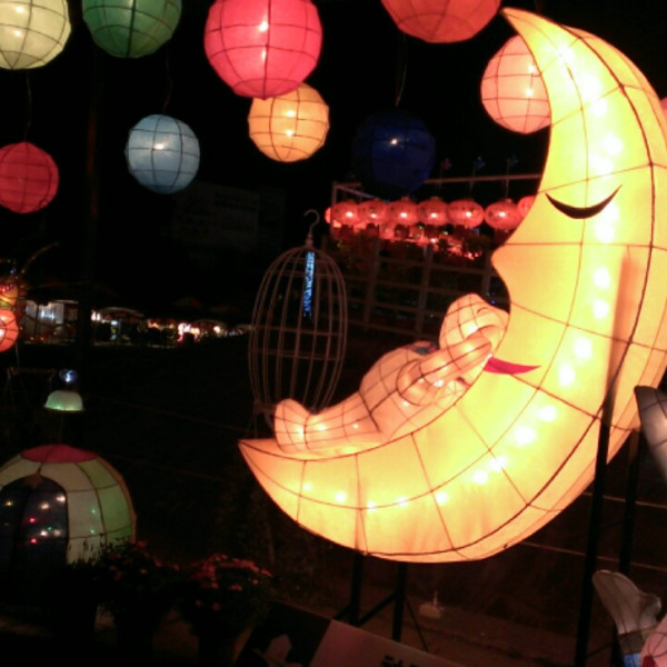 2014台灣燈會在南投