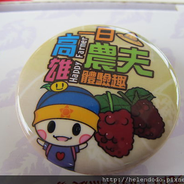 張媽媽桑葚果園