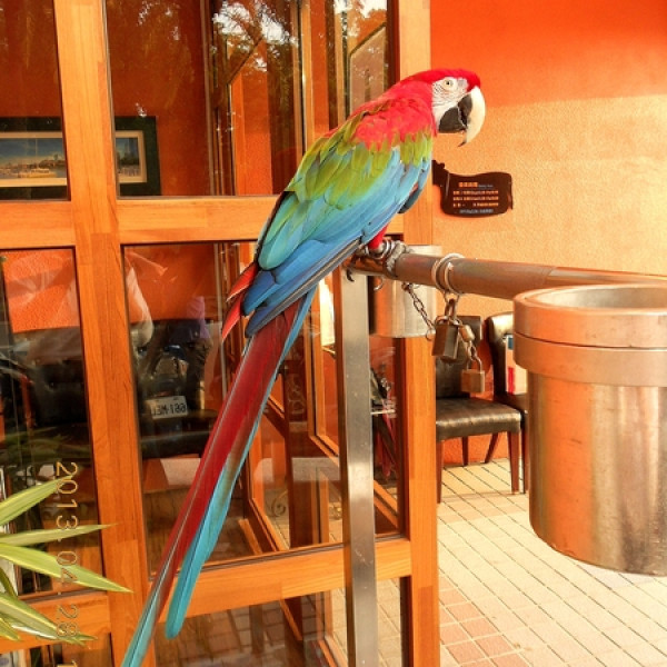 LA  VACA阿根廷烤肉餐廳