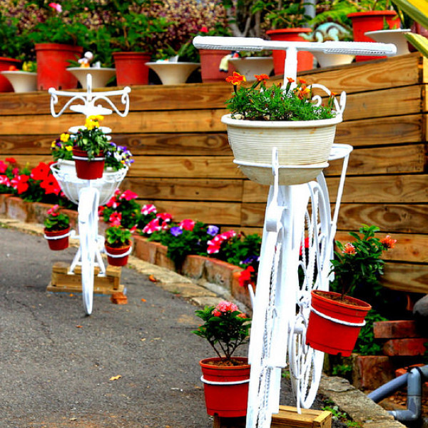 青青湖畔親水花園