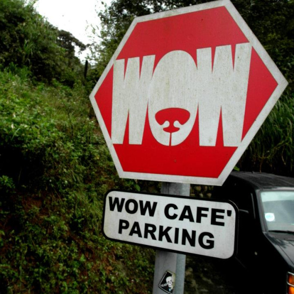 WOW Cafe