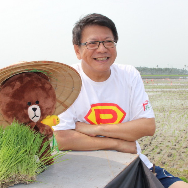 屏東國際彩稻藝術節