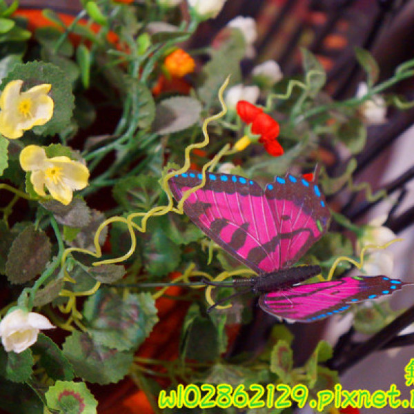 夢森林鮮果冰淇淋