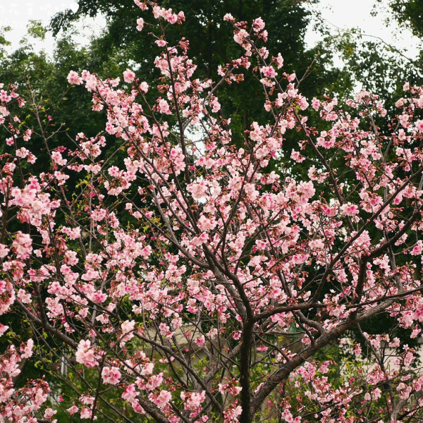 溪北生態休閒公園