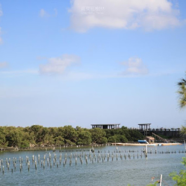 海寮紅樹林