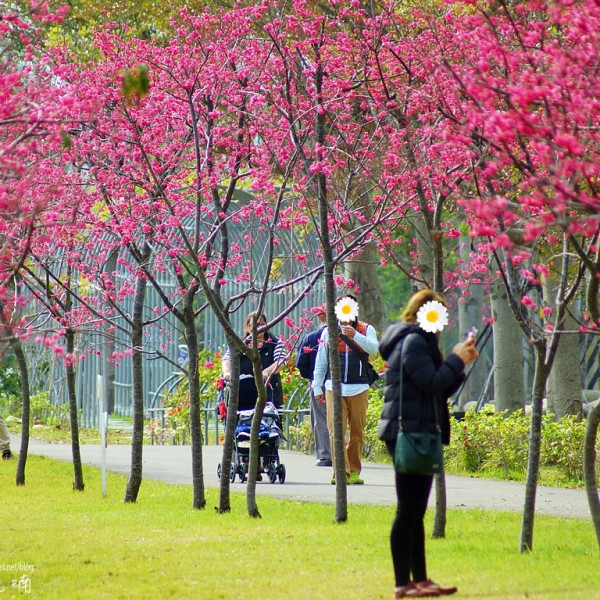 崴立機電股份有限公司中科分公司
