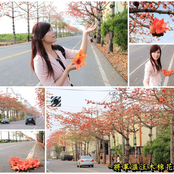 將軍漚汪木棉花道