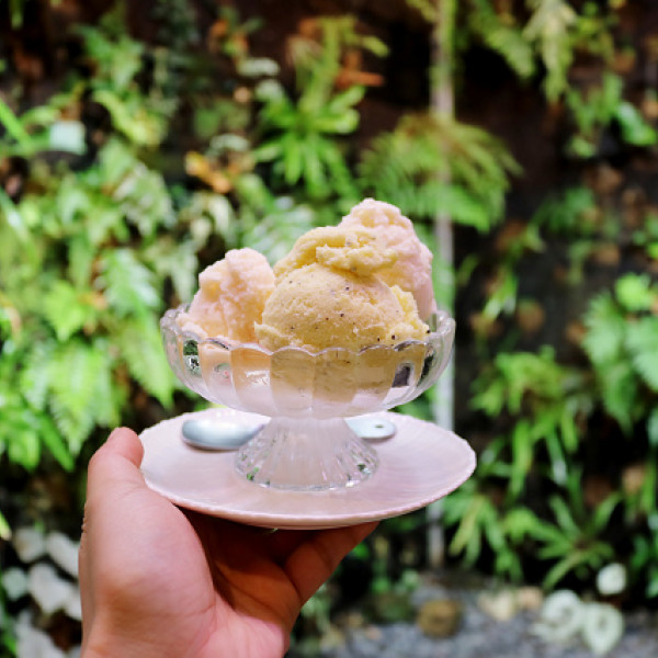 森林島嶼Forestmosa（富錦店）