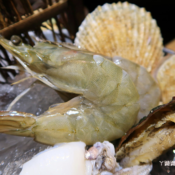 極鼎鮮鍋物 新竹東大店