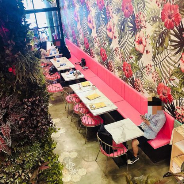 jungle plan 叢零計劃jungle p