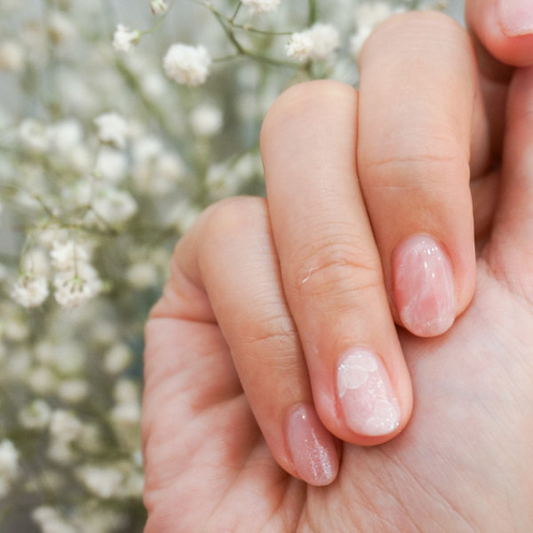 Miss Bello 貝蘿小姐