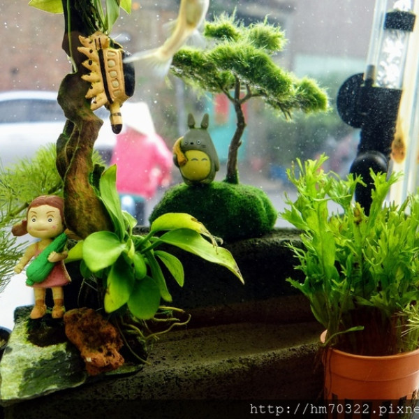 禾麥丼飯Yakiniku Don