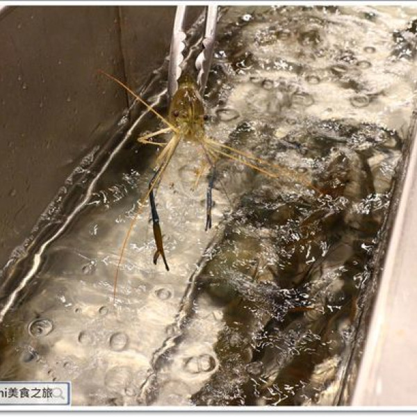 台灣水道蝦-台南店