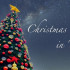 2019聖誕樹 照片