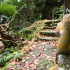 猴洞步道 照片